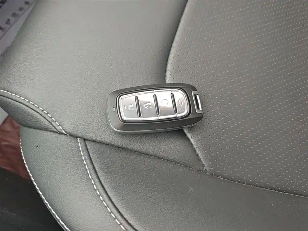 SAIC Maxus Maxus G50 2019 1.5T First Edition Automatic Luxury 6-Seater фото 9