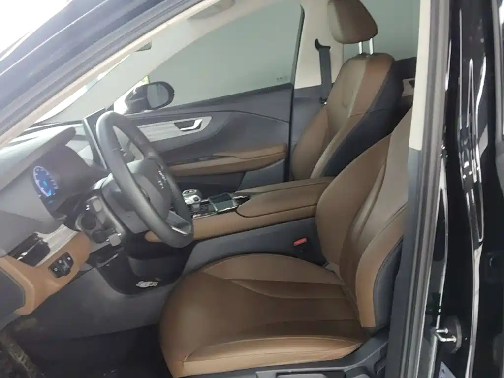 Hongqi E-QM5 2025 2024 Model 610km PLUS