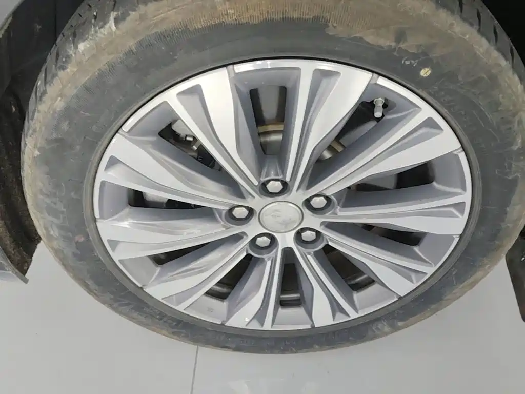 Hongqi E-QM5 2025 2024 Model 610km PLUS