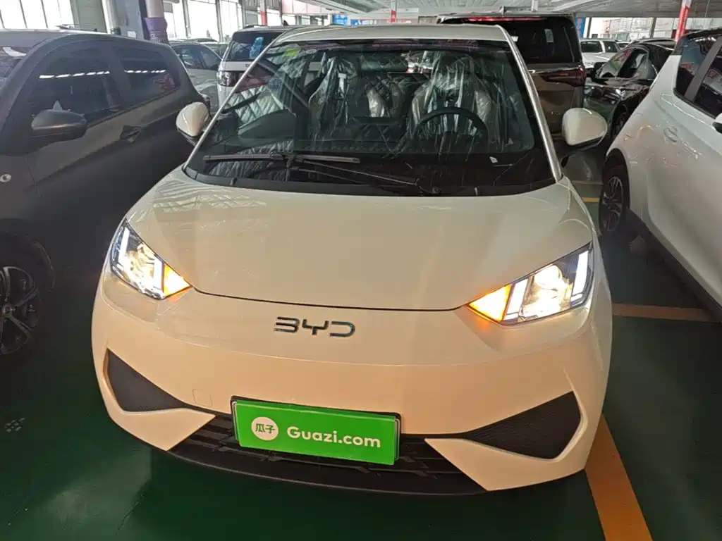 2026 BYD Seagull