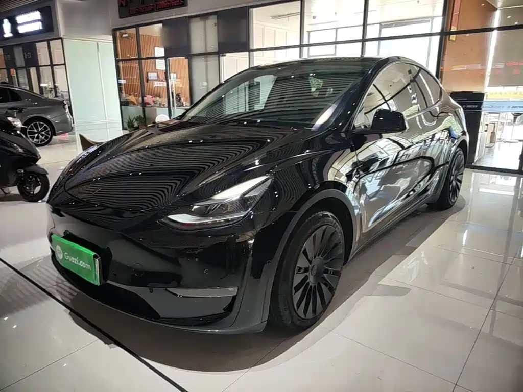 Tesla Model Y 2021 Standard Range Rear-Wheel Drive