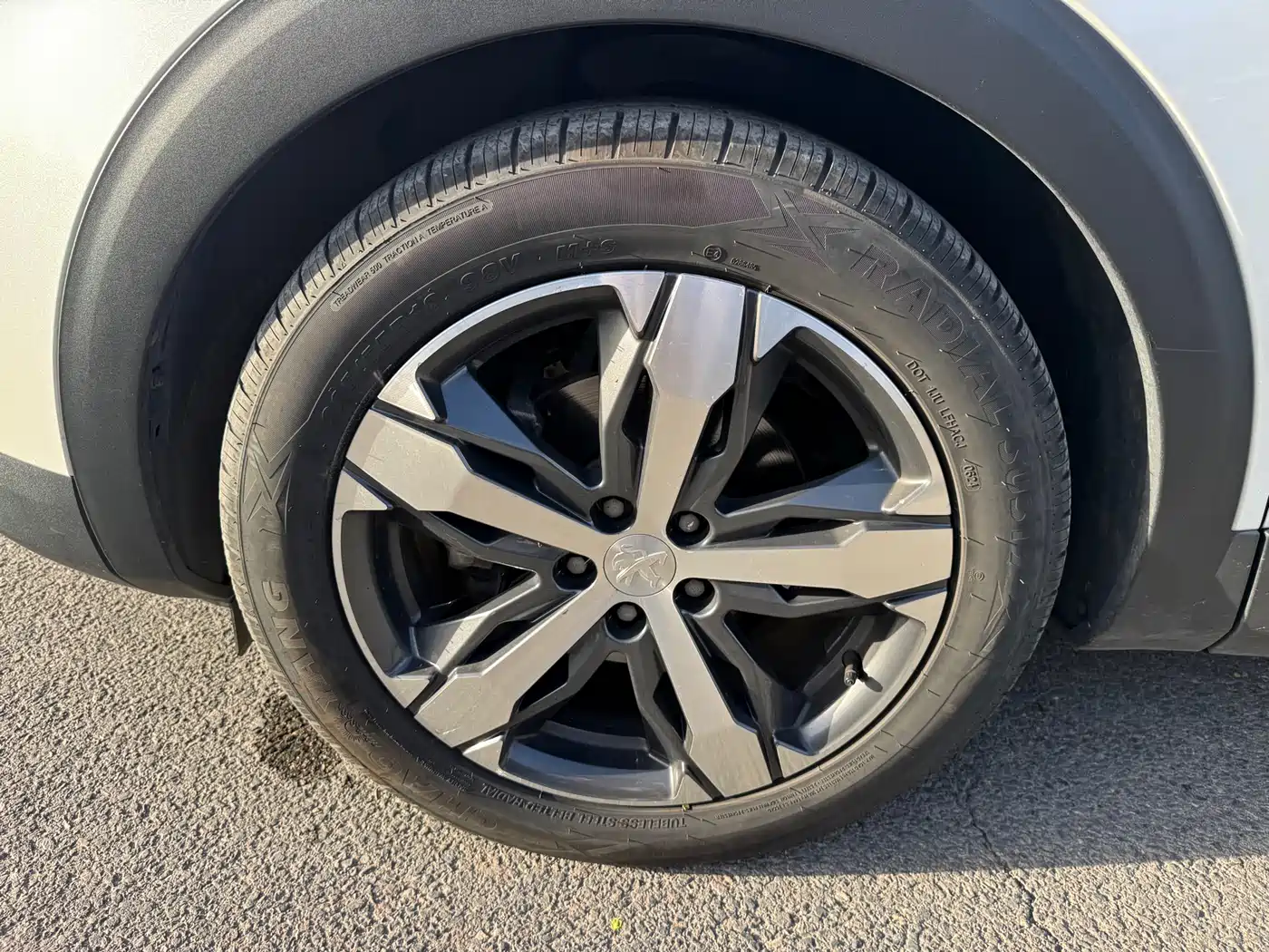 Peugeot 4008 2019 360THP Pioneer Edition фото 31
