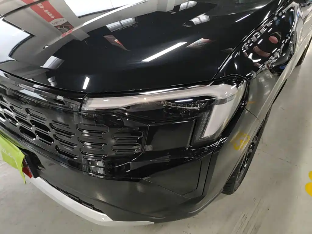 Ford Lingrui 2025 2025 EcoBoost 170 Platinum