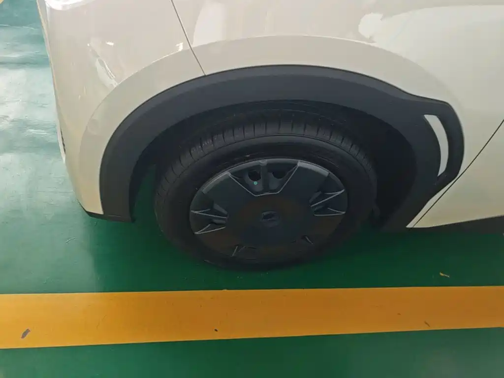 BYD Seagull 2026 2025 Smart Drive Edition 305km Vitality Version