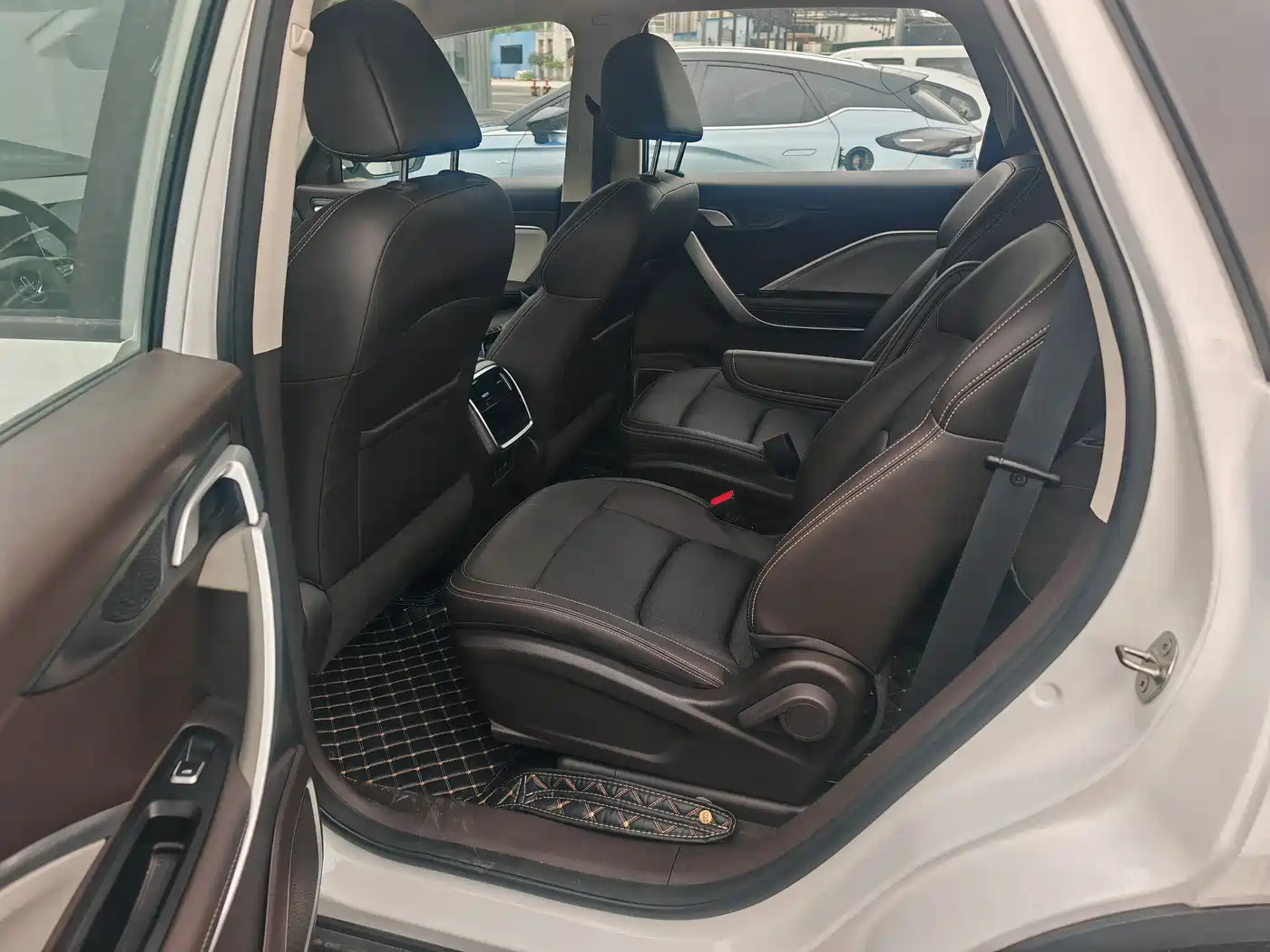 RUILAN AUTOMOBILE MAPLE LEAF 80V L