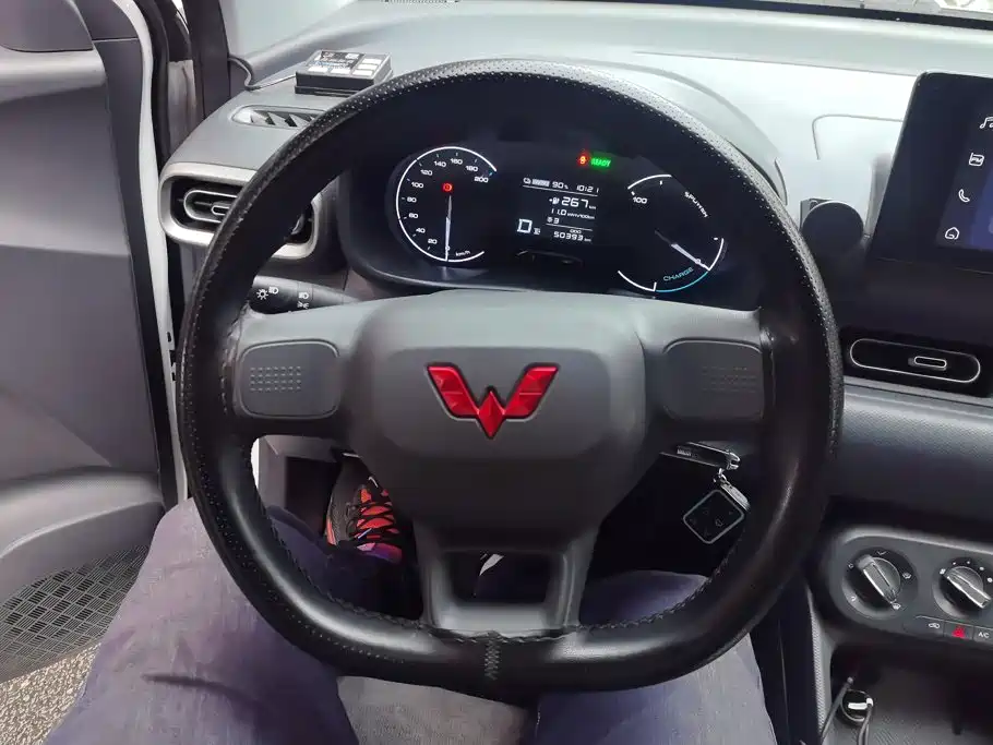 Wuling Motors Wuling Hongguang New Energy 2025 2024 Pure Electric 300KM Standard