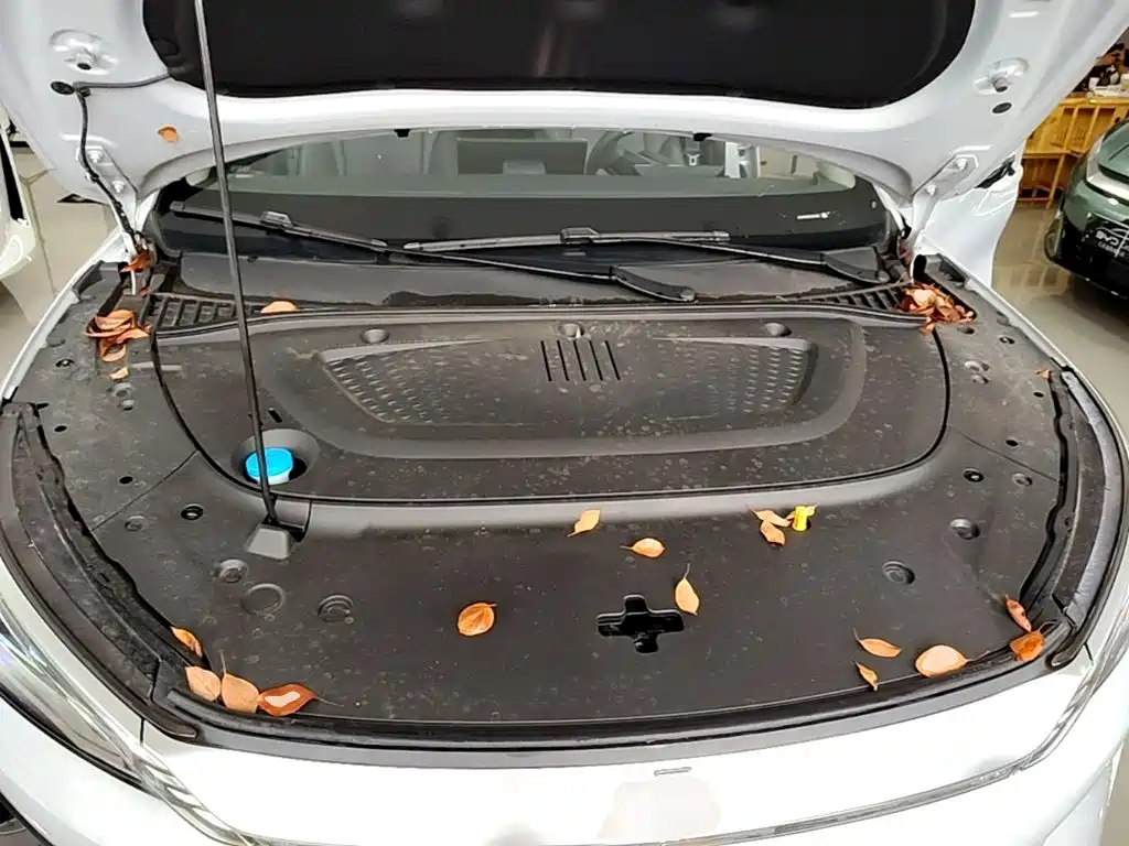 BYD Yuan PLUS 2025 2025 Smart Drive 510KM Surpass Edition