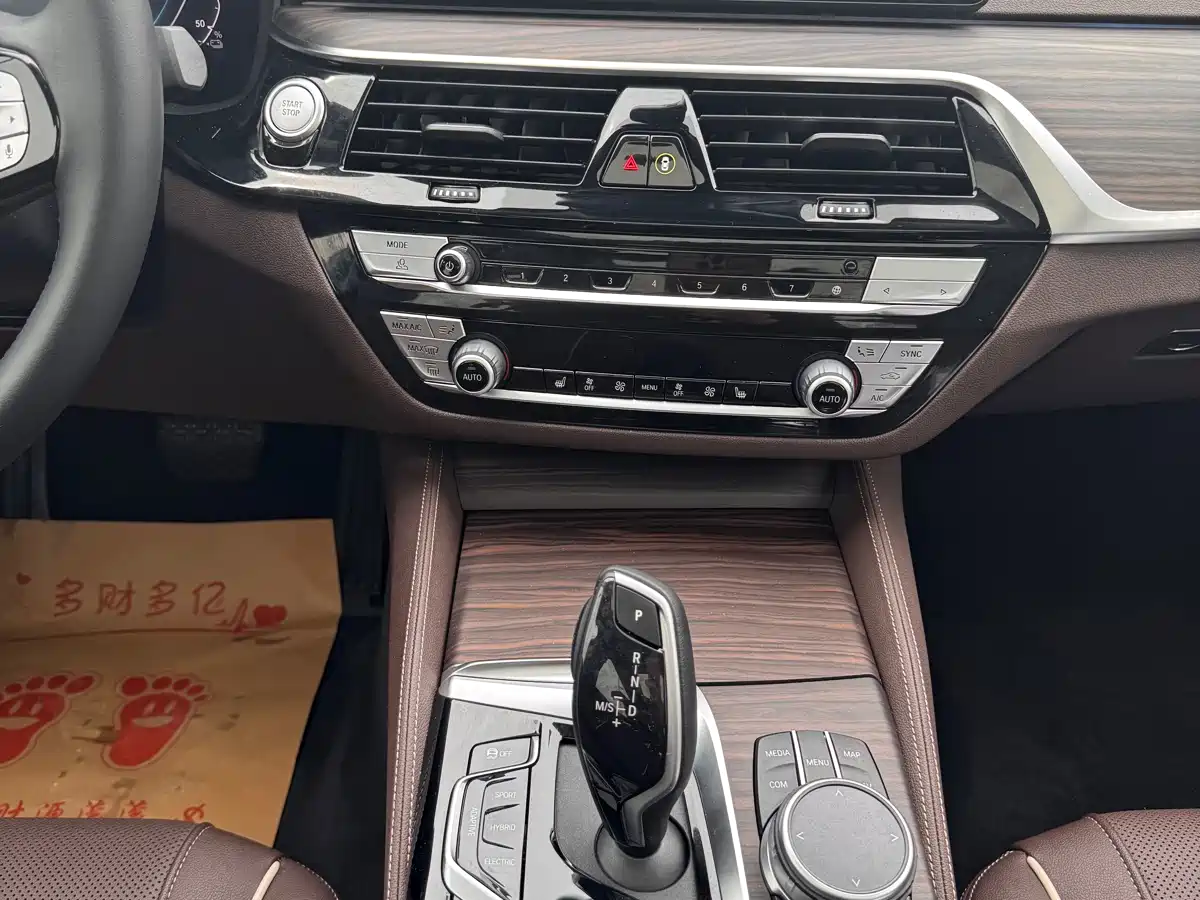 BMW 5 Series New Energy 2021 535Le Luxury Package фото 19