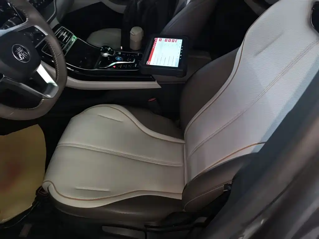 BYD Qin PLUS 2024 Glory Edition DM-i 120KM Leading фото 15