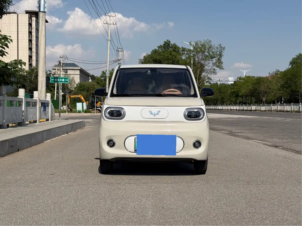 Фото 2 - Wuling Motors Hongguang MINIEV
