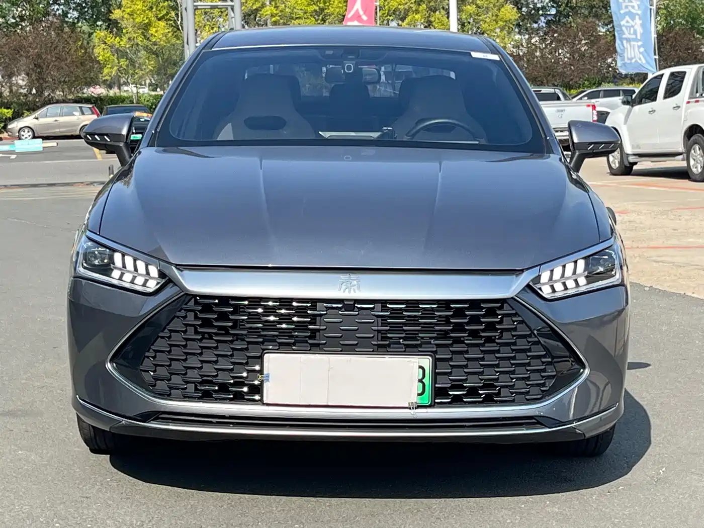 BYD Qin PLUS 2024 Glory Edition DM-i 55KM Leading фото 2