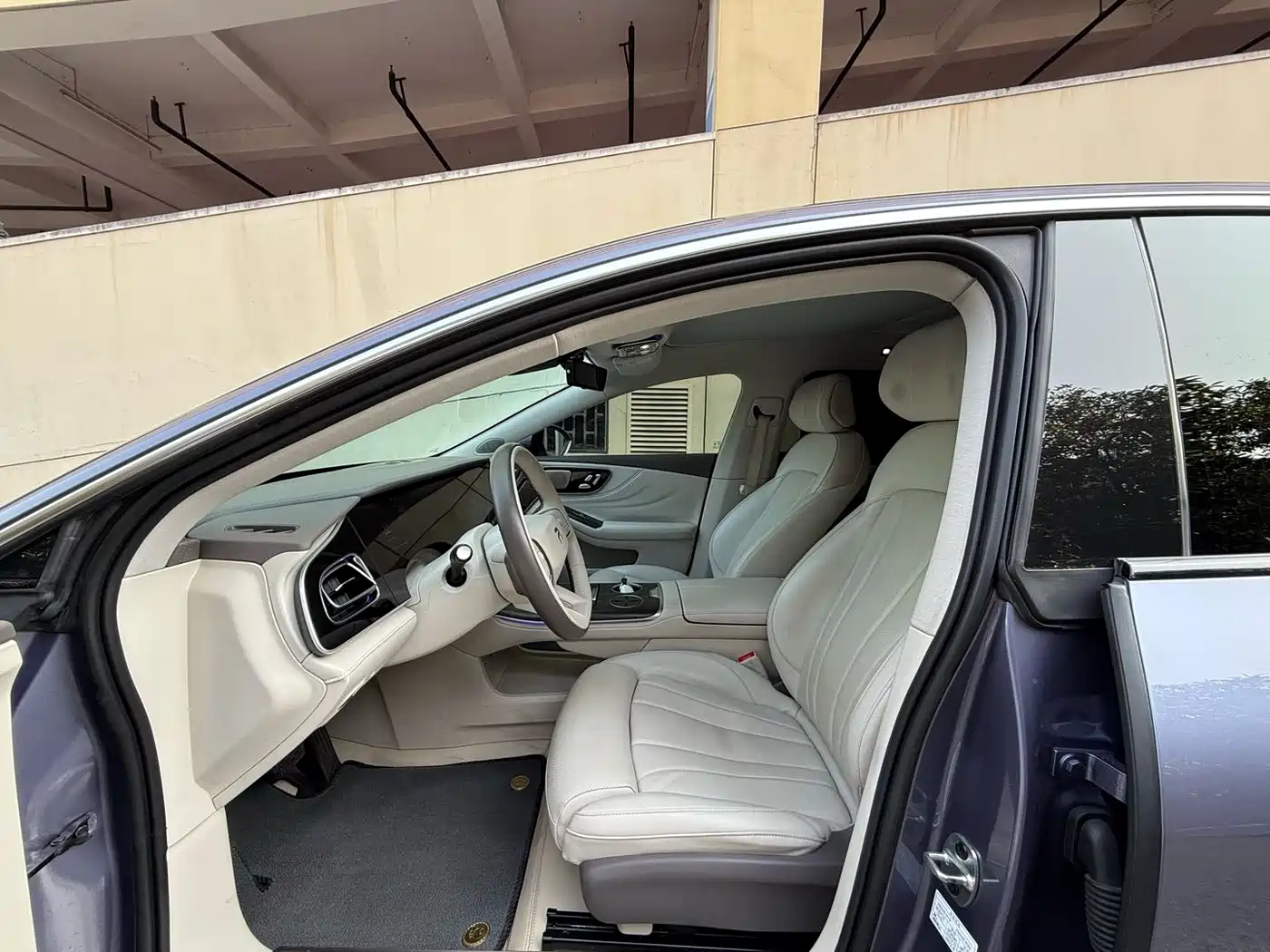 RISING AUTO FEIFAN F7