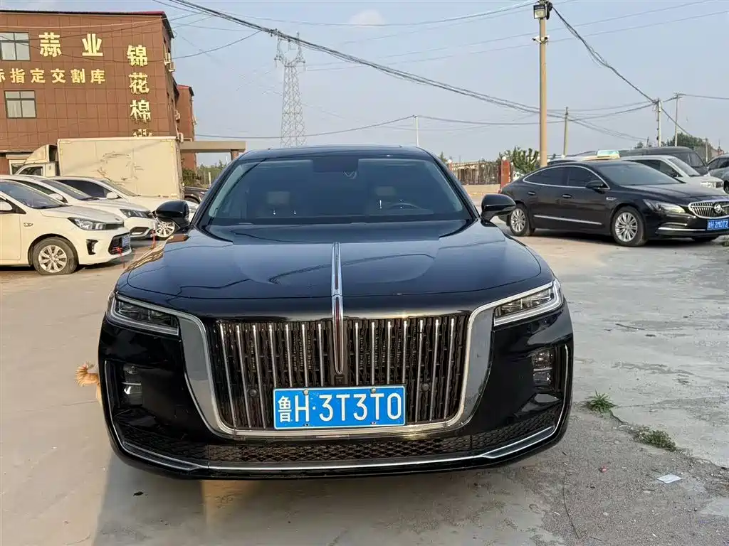 Hongqi H9 2020 2.0T Smart Connection Qi Yue Edition фото 12