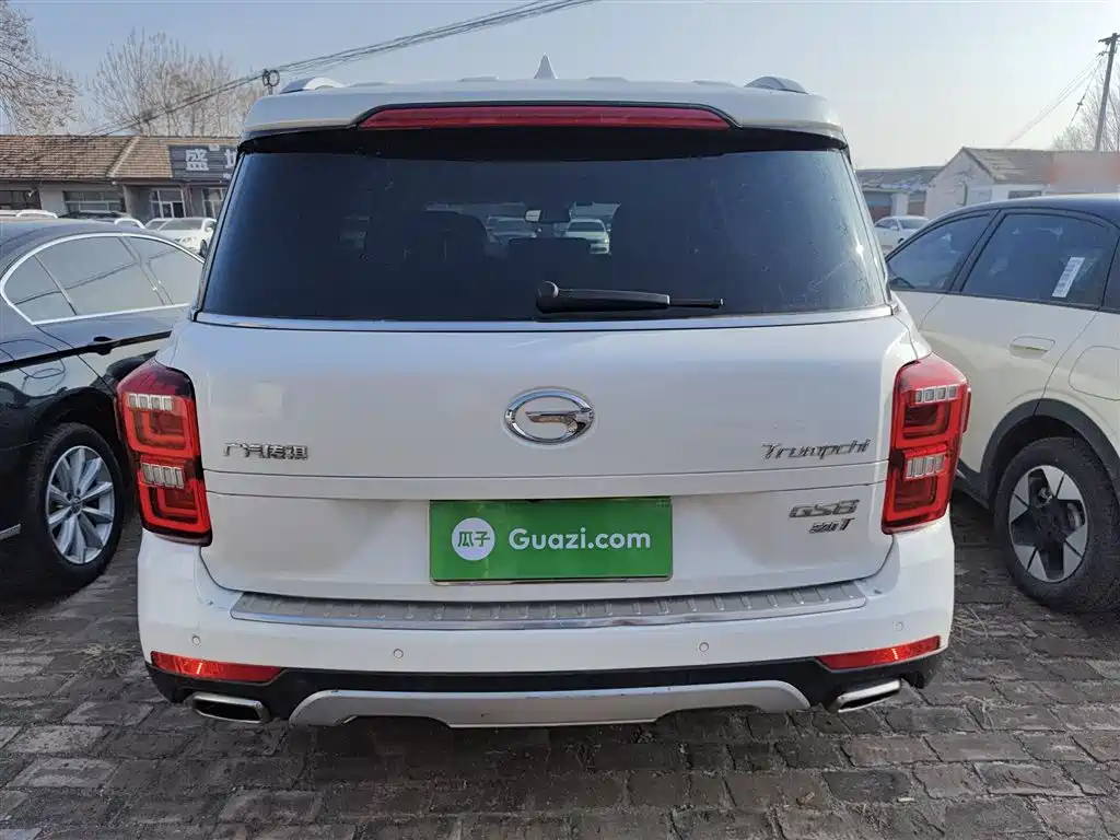 GAC Trumpchi Trumpchi GS8 2017 320T 2WD Luxury Smart Connect (7-seater) фото 6