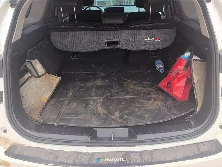 Haval H6 2021 3rd Gen 1.5T Auto 2WD Pro фото 4