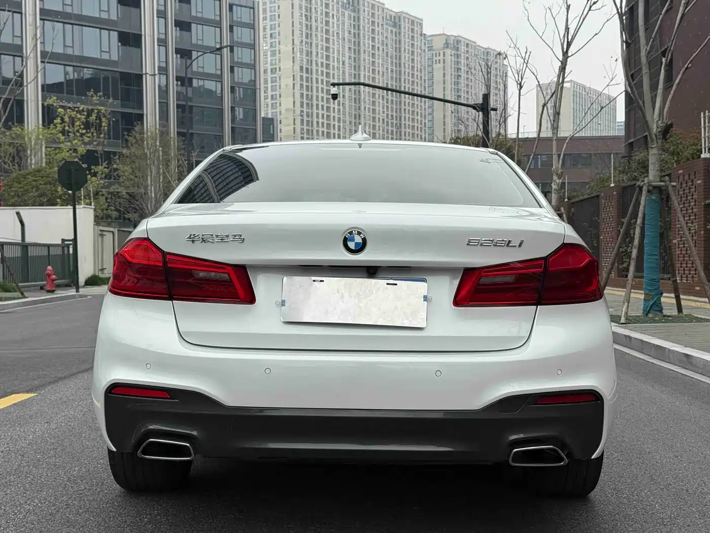 BMW 5 Series 2019 525Li M Sport Package фото 18