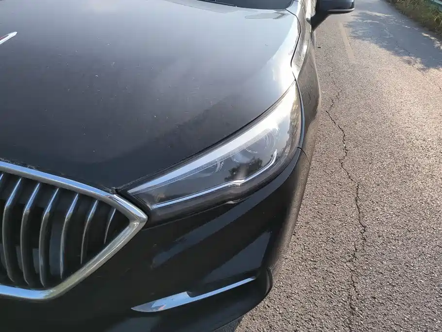 Фото 5 - Hongqi H5