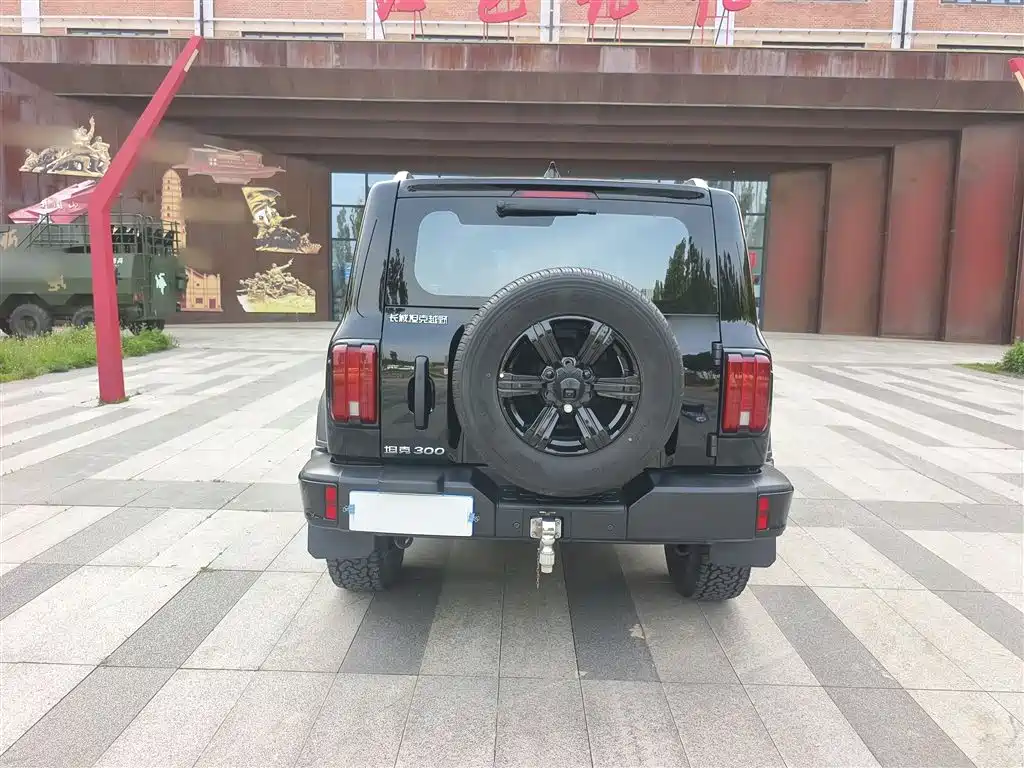 TANK 300