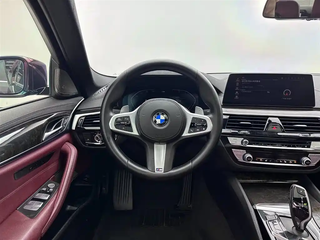 BMW 5 Series 2020 530Li Exclusive M Sport Package фото 9