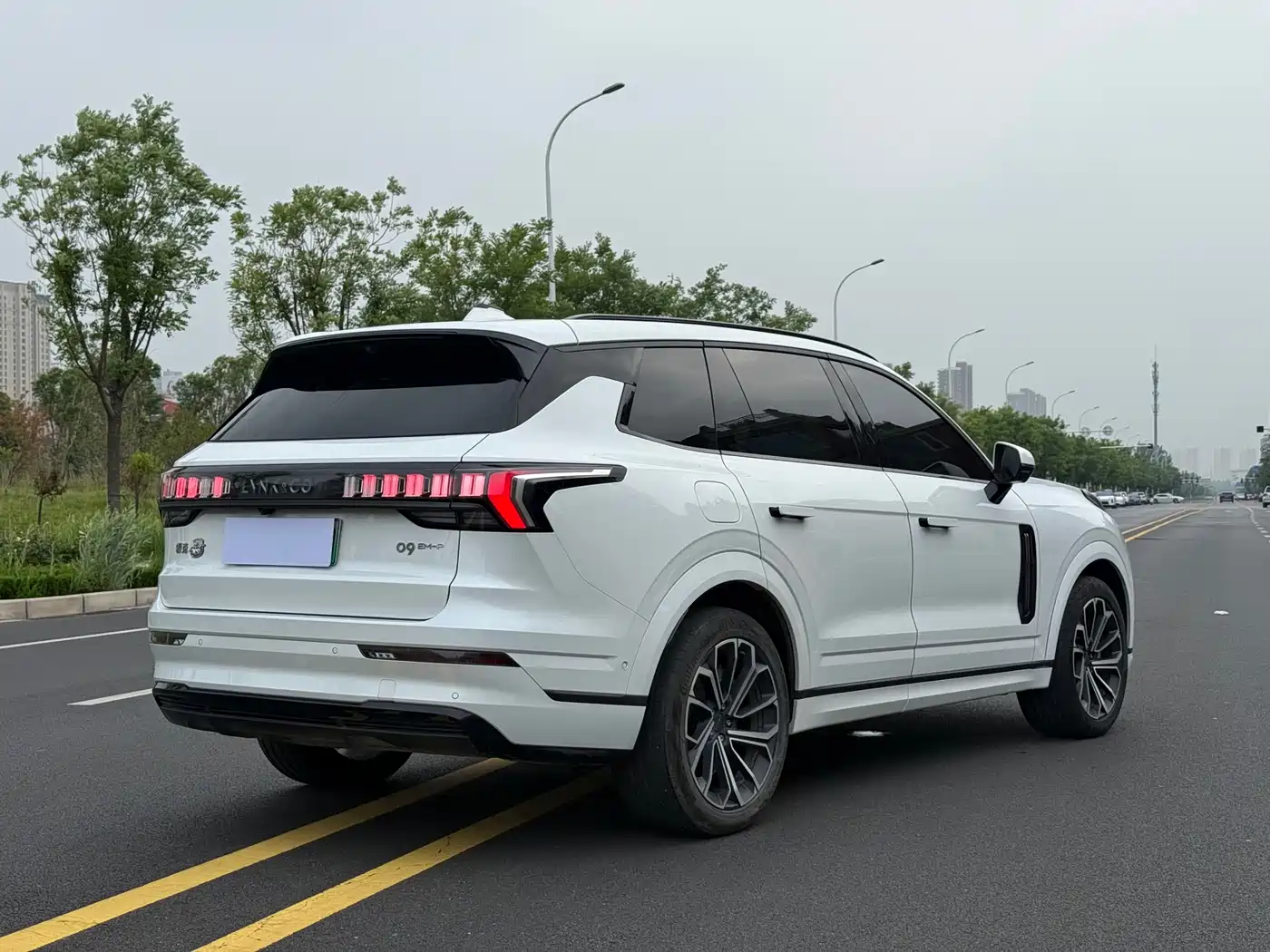 Lynk & Co 09 EM-P 2024 2.0TD EM-P AWD PRO 7-Seater фото 7