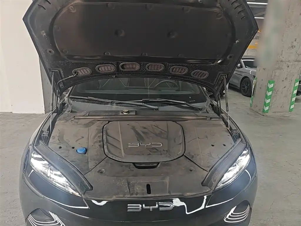 BYD Seal 2023 Champion Edition 550km Elite фото 20