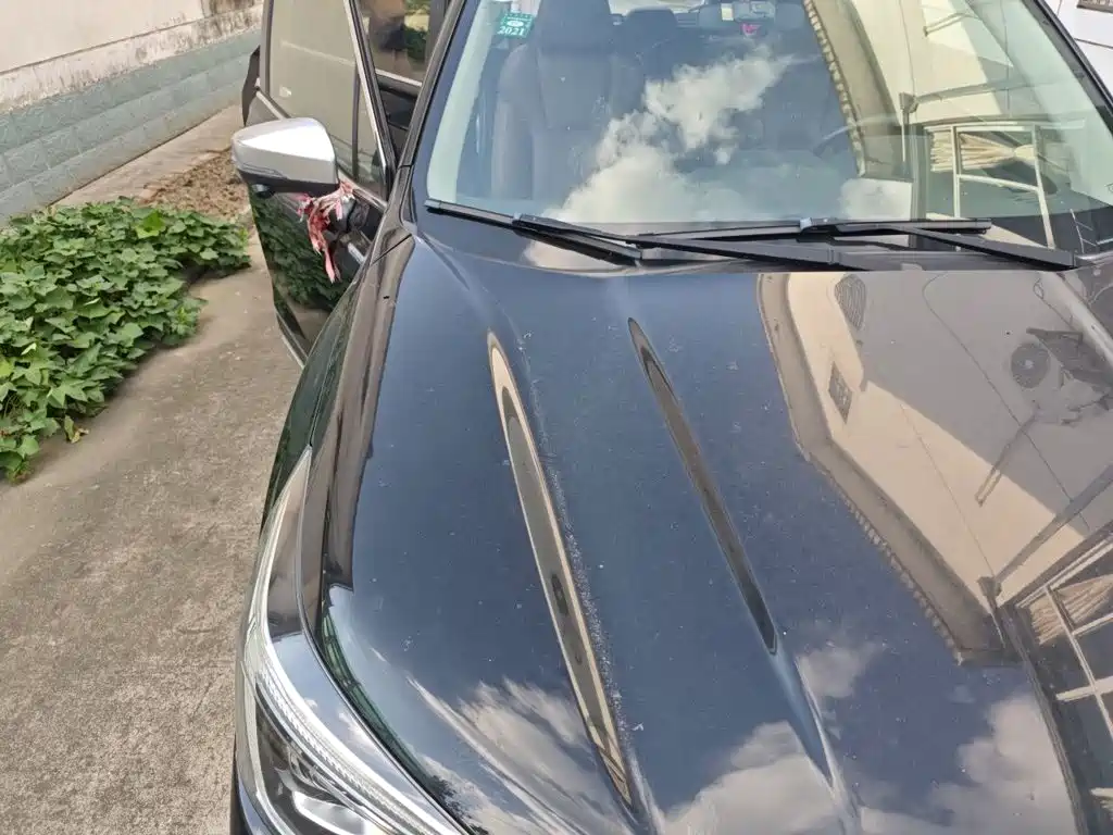 Фото 21 - Subaru Forester