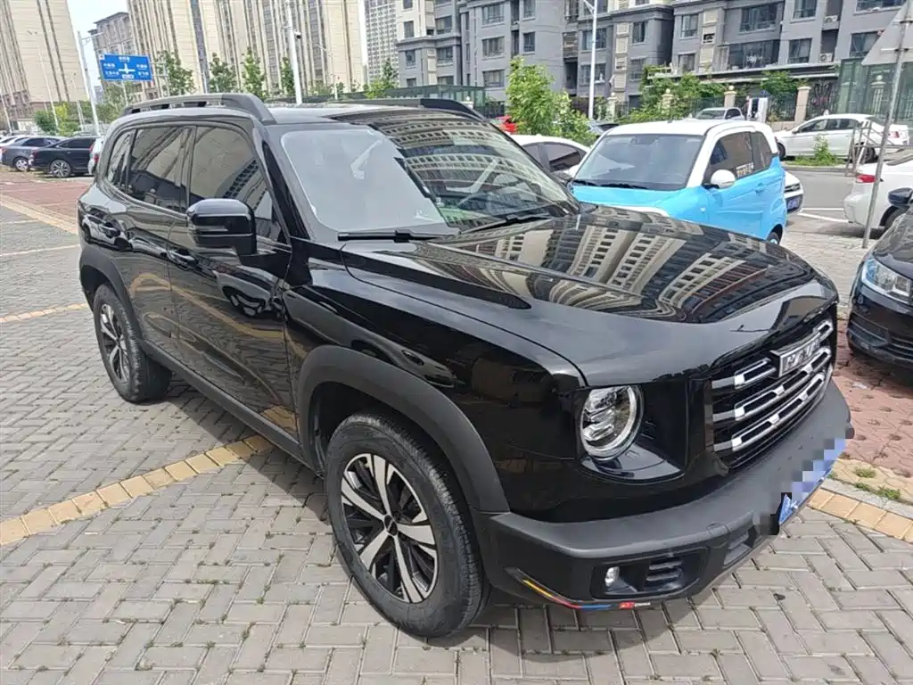 Haval Big Dog 2022 1.5T DCT FWD Labrador Edition фото 4