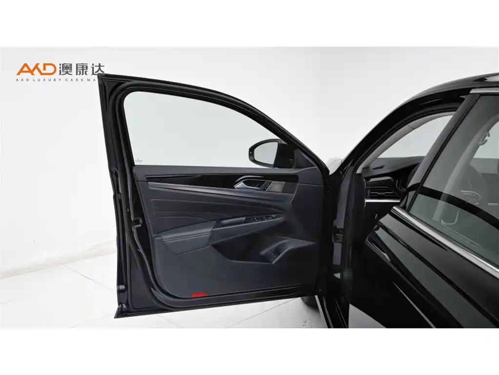 VOLKSWAGEN PASSAT NEW ENERGY