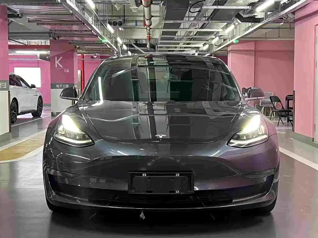 Tesla Model 3 (Import) 2019 2019 Performance High-Efficiency All-Wheel Drive Version