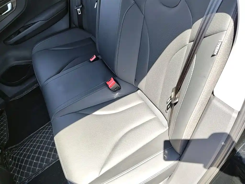 Hongqi E-QM5 2023 Facelift Basic Travel Edition фото 17