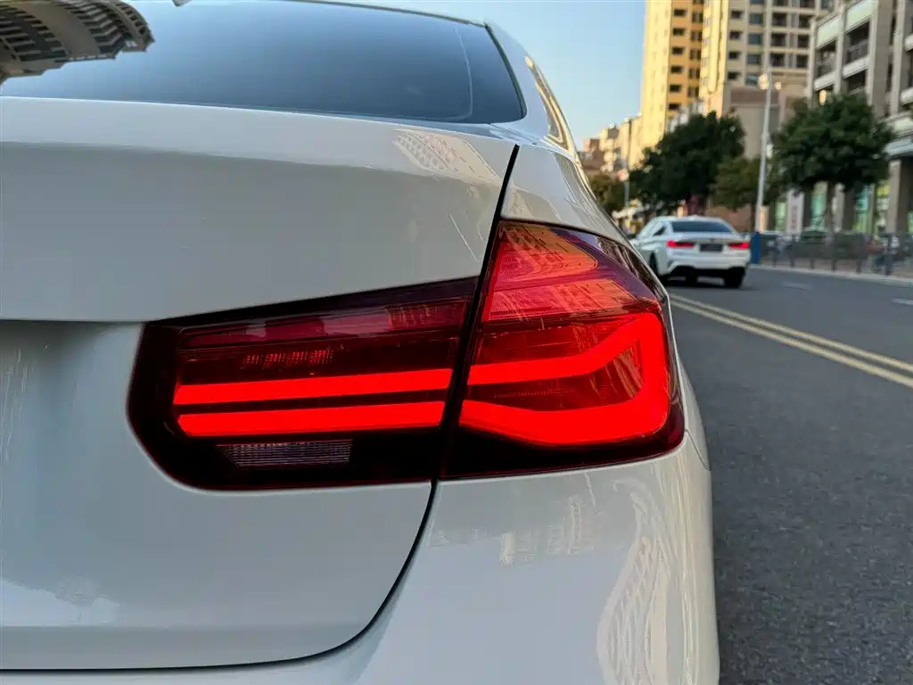 BMW 3 Series 2019 320Li M Sport Black Night Edition фото 11