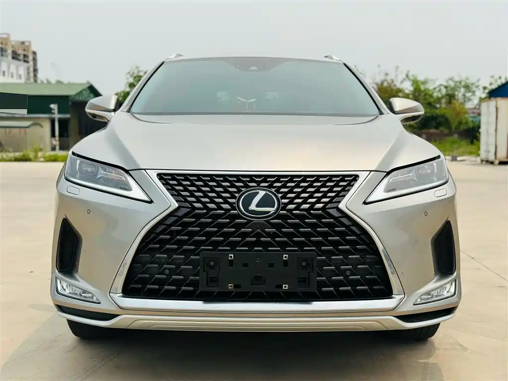 Lexus RX 2020 Facelift 300 2WD Comfort Edition фото 3