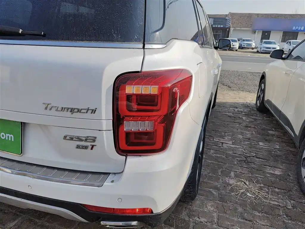 GAC Trumpchi Trumpchi GS8 2017 320T 2WD Luxury Smart Connect (7-seater) фото 8