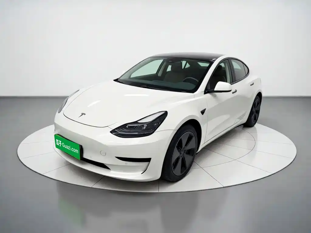 Tesla Model 3 2021