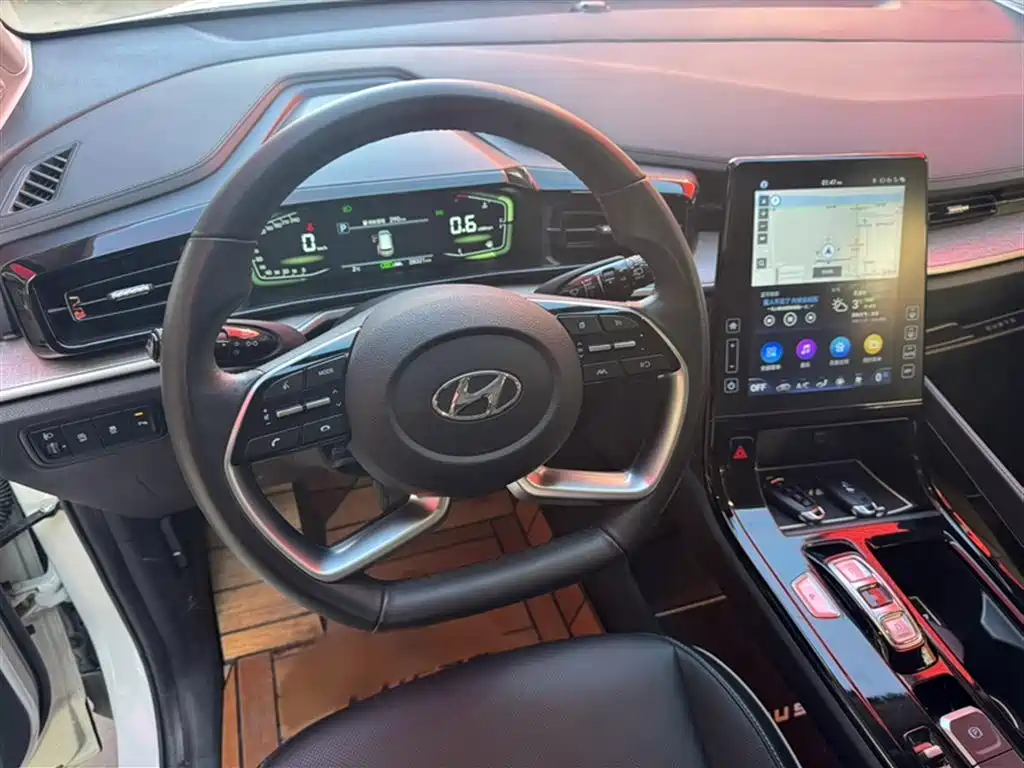 Hyundai Kustu 2021 270TGDi Premium LUX фото 19