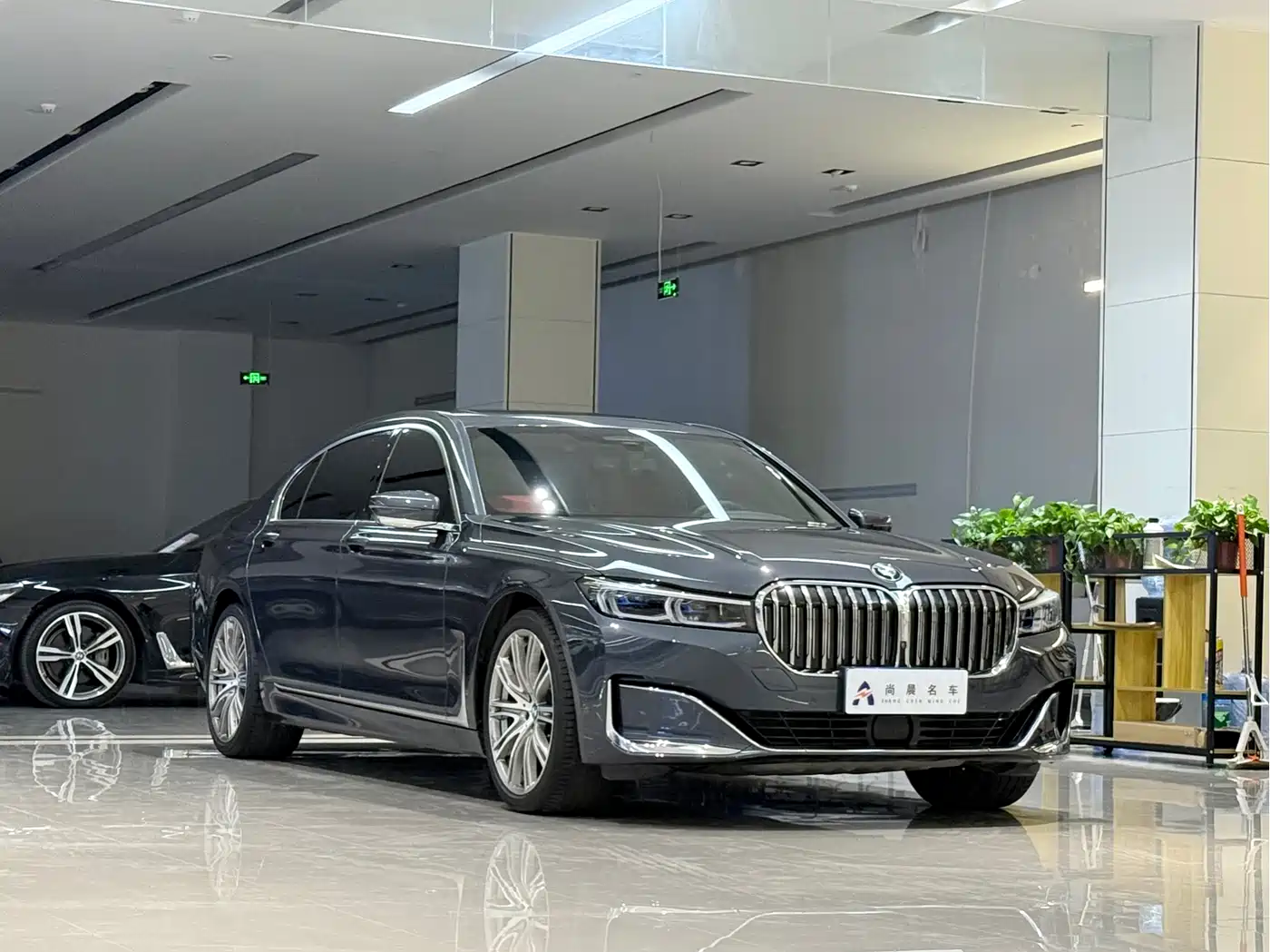 BMW 7 Series 2019 750Li xDrive V8 Luxury Package фото 3