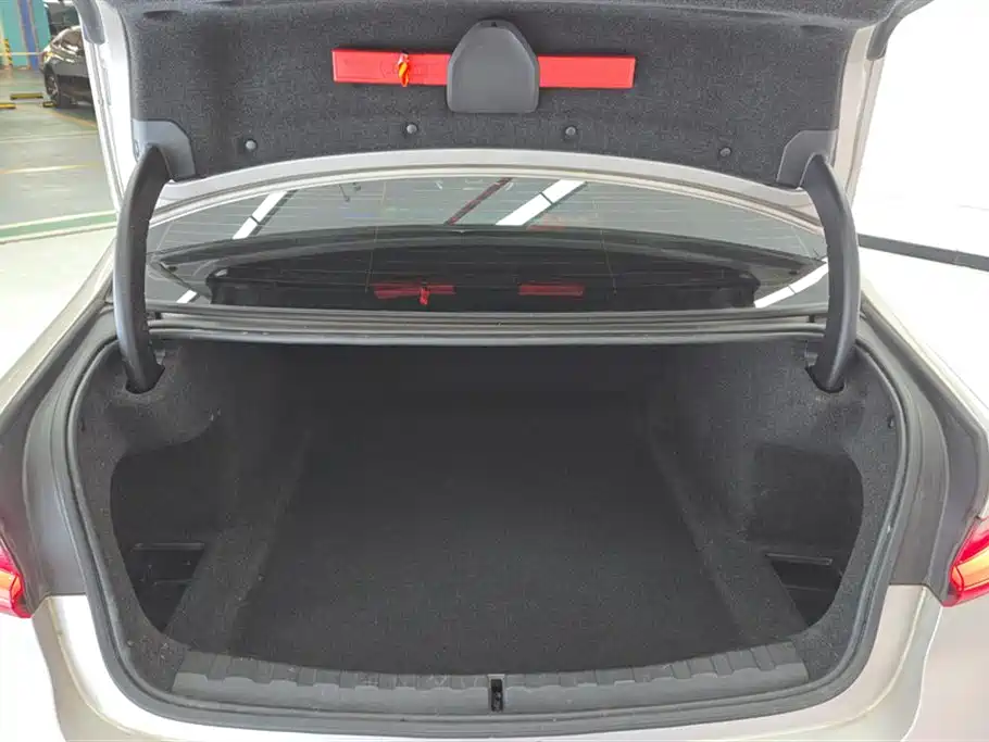 BMW 3 Series 2020 325Li Launch Edition фото 4