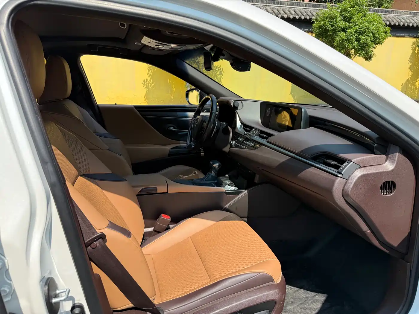 Lexus ES 2020 200 Luxury фото 12