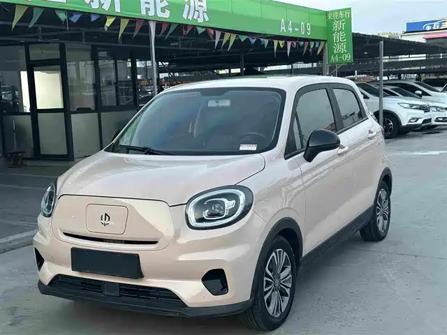  Leapmotor Leapmotor T03 2021 400 Comfort Edition