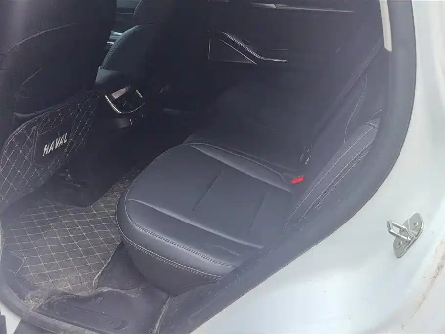 Haval H6 2021 3rd Gen 1.5T Auto 2WD Pro фото 11