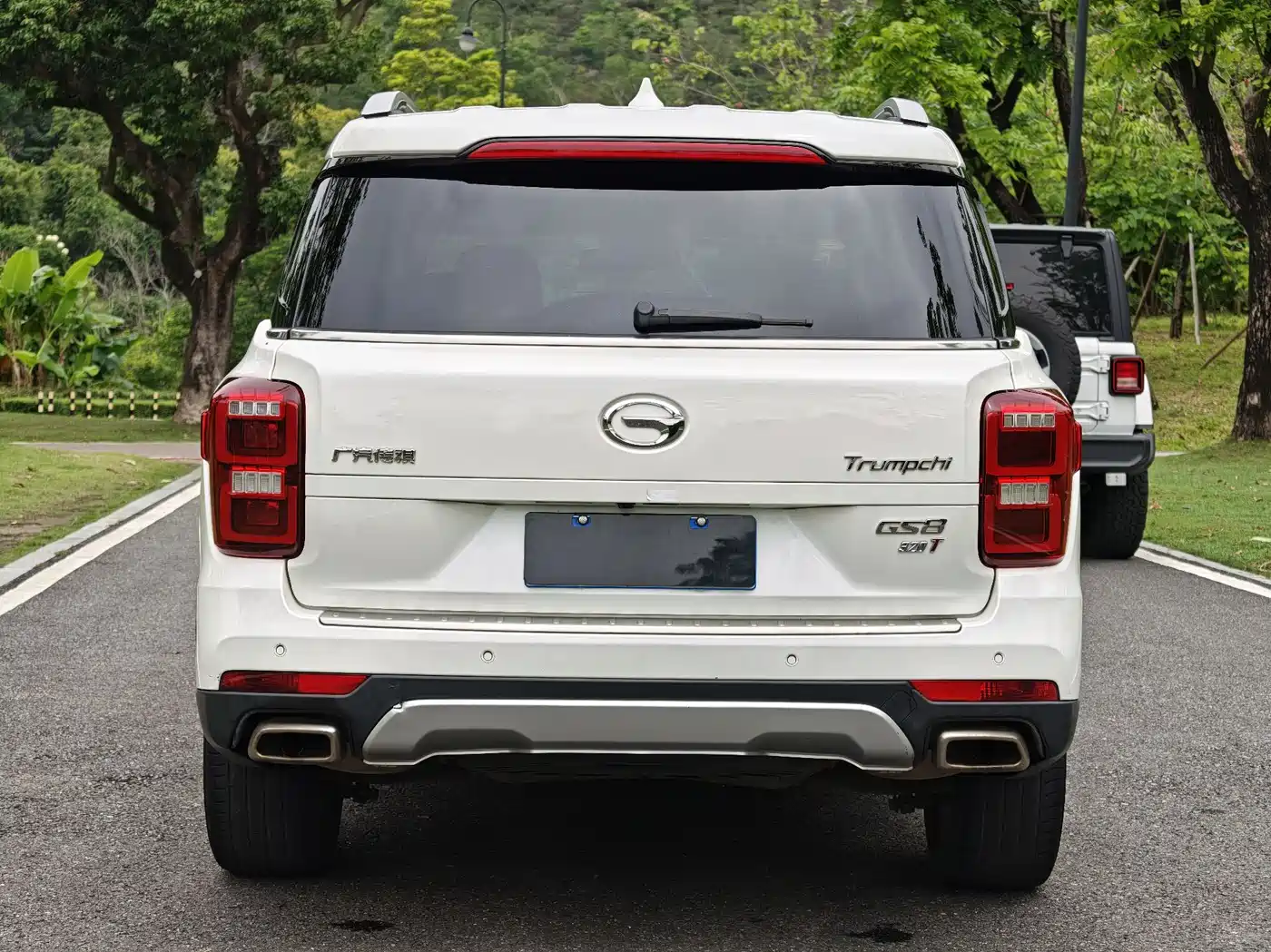 GAC Trumpchi Trumpchi GS8 2017 320T 2WD Luxury Smart Connect (7-seater) фото 9
