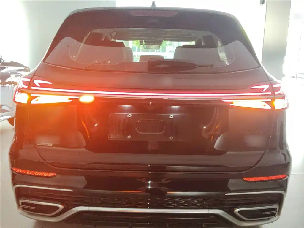 Hongqi HS5 2023 2.0T 4WD Flag Leader Pro фото 4