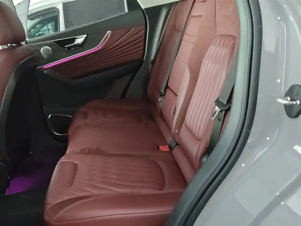 Hongqi HS5 2023 2.0T 4WD Flag Leader Pro фото 13