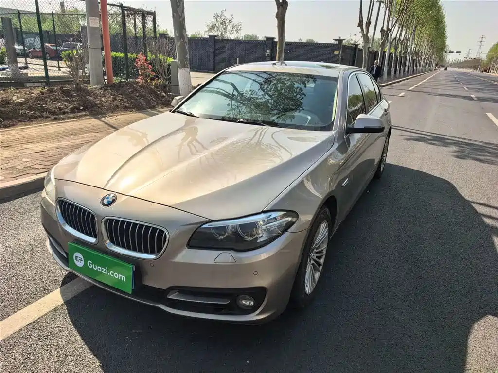 BMW 5 Series 2014 525Li Leading фото 2