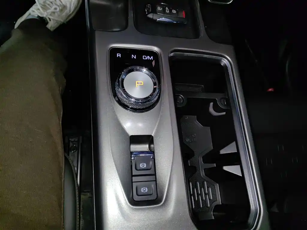 Haval Big Dog 2022 1.5T DCT FWD Labrador Edition фото 14