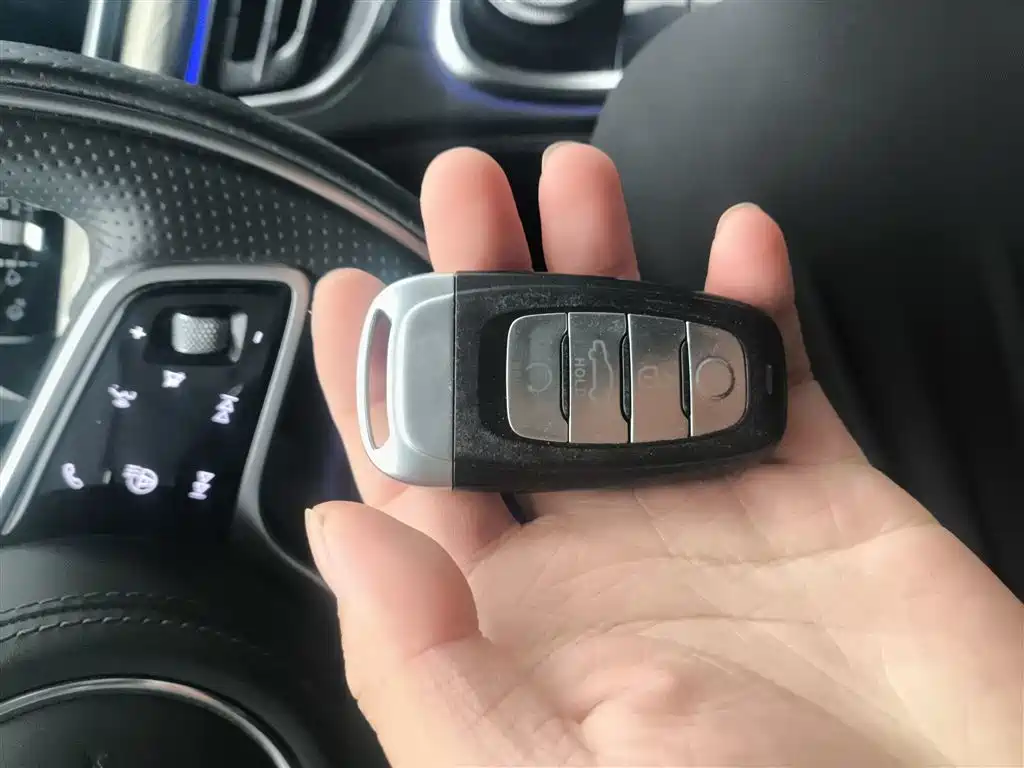 Hongqi H9 2020 3.0T Smart Connect Flagship 4-Seater фото 11