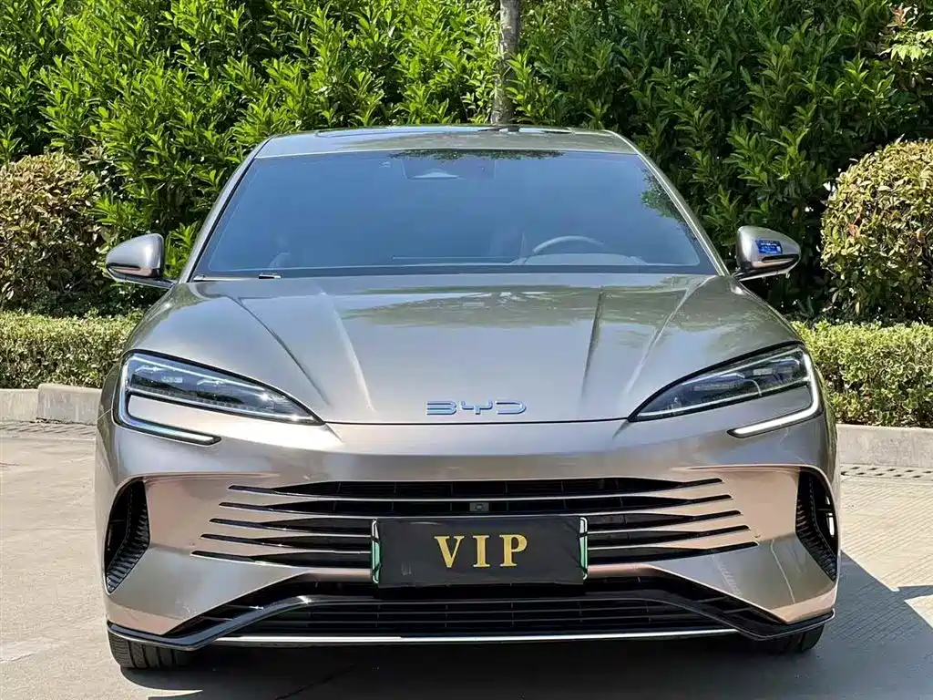 BYD Seal 2024 Glory Edition DM-i 1.5L 121km Prestige фото 2