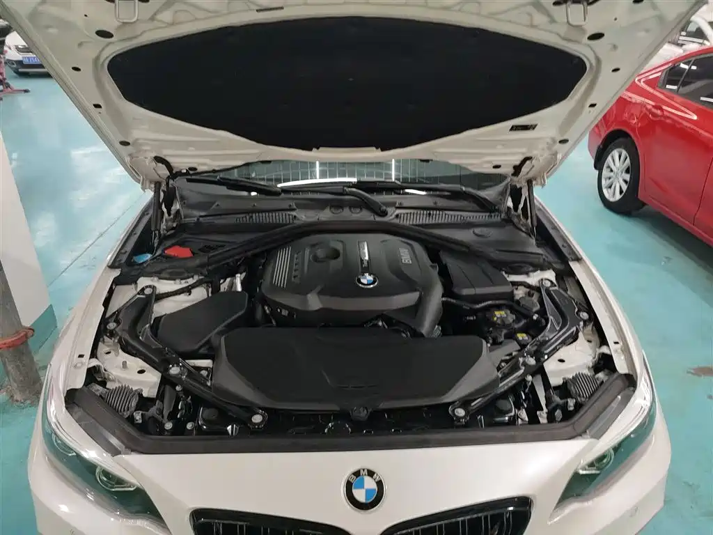 BMW 2 Series (Import) 2018 225i Convertible Coupe M Sport фото 20