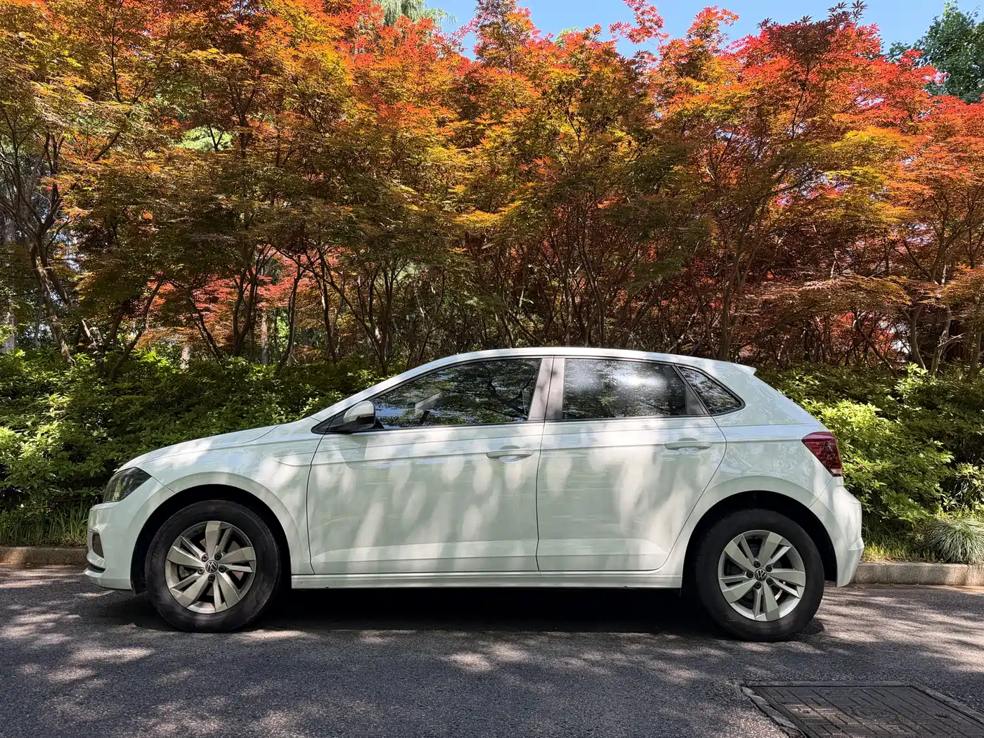 Volkswagen Polo 2023 Plus 1.5L Auto Joyful Living Edition фото 8