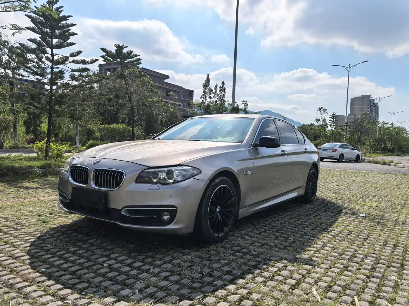 BMW 5 Series 2014 525Li Luxury Design Package